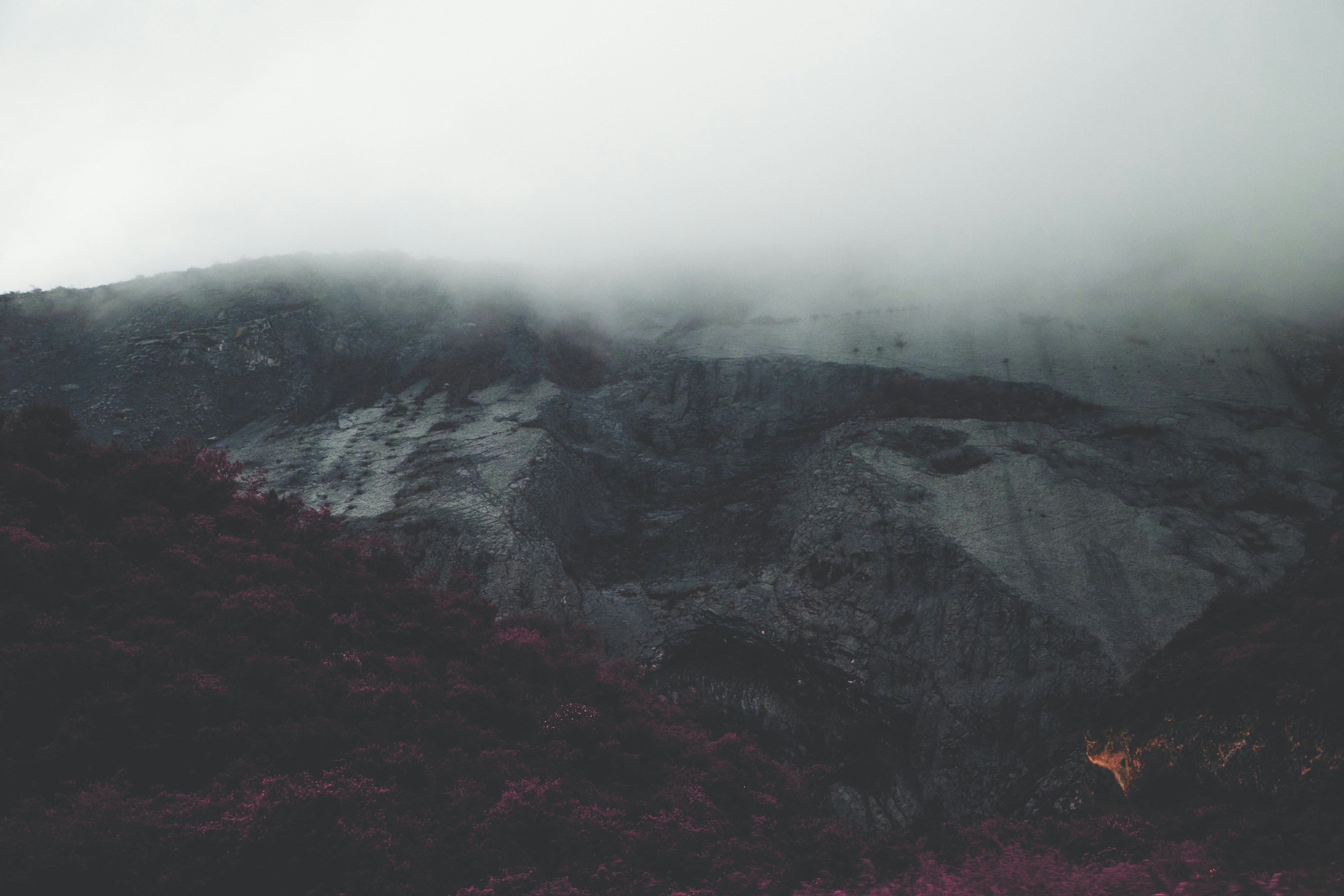 Photo by eduardocanophotoco