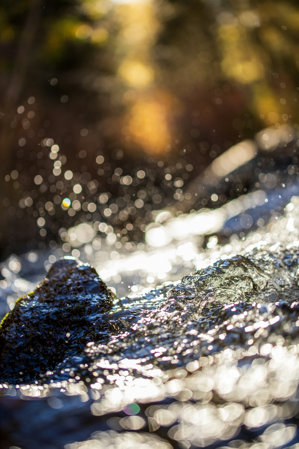 salpicaduras de agua en la fotografía de primer plano