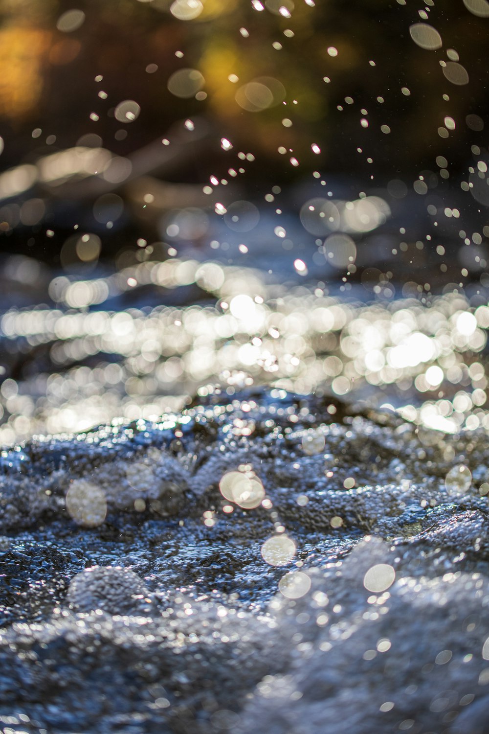 water droplets on body of water