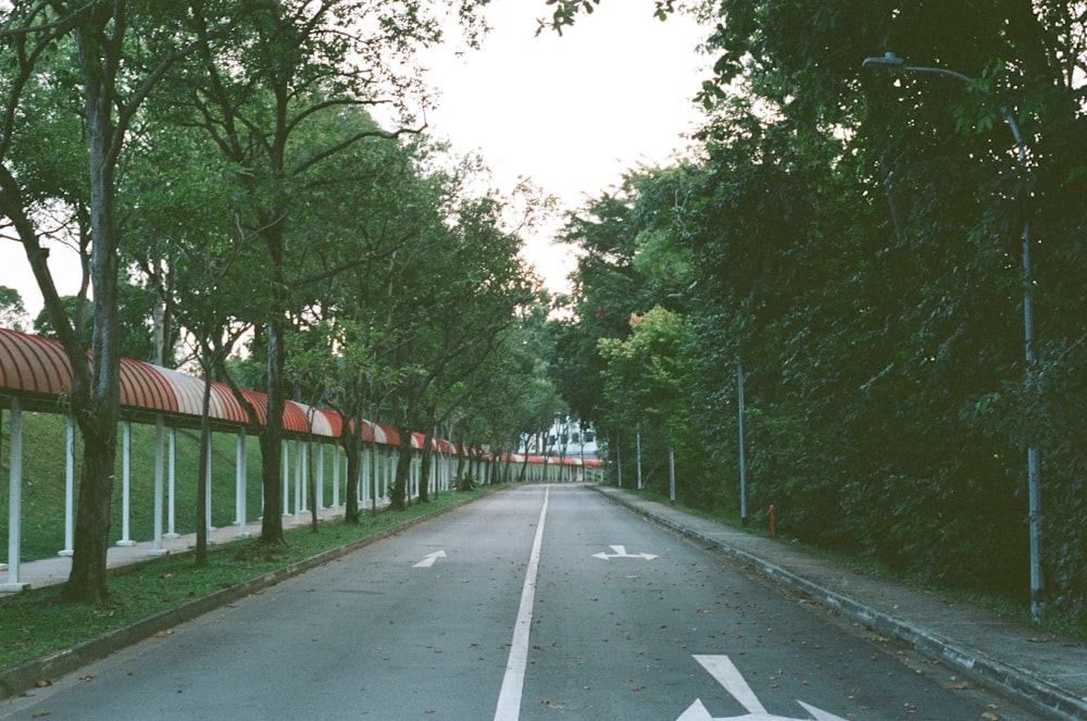 gray concrete road between green trees during daytime