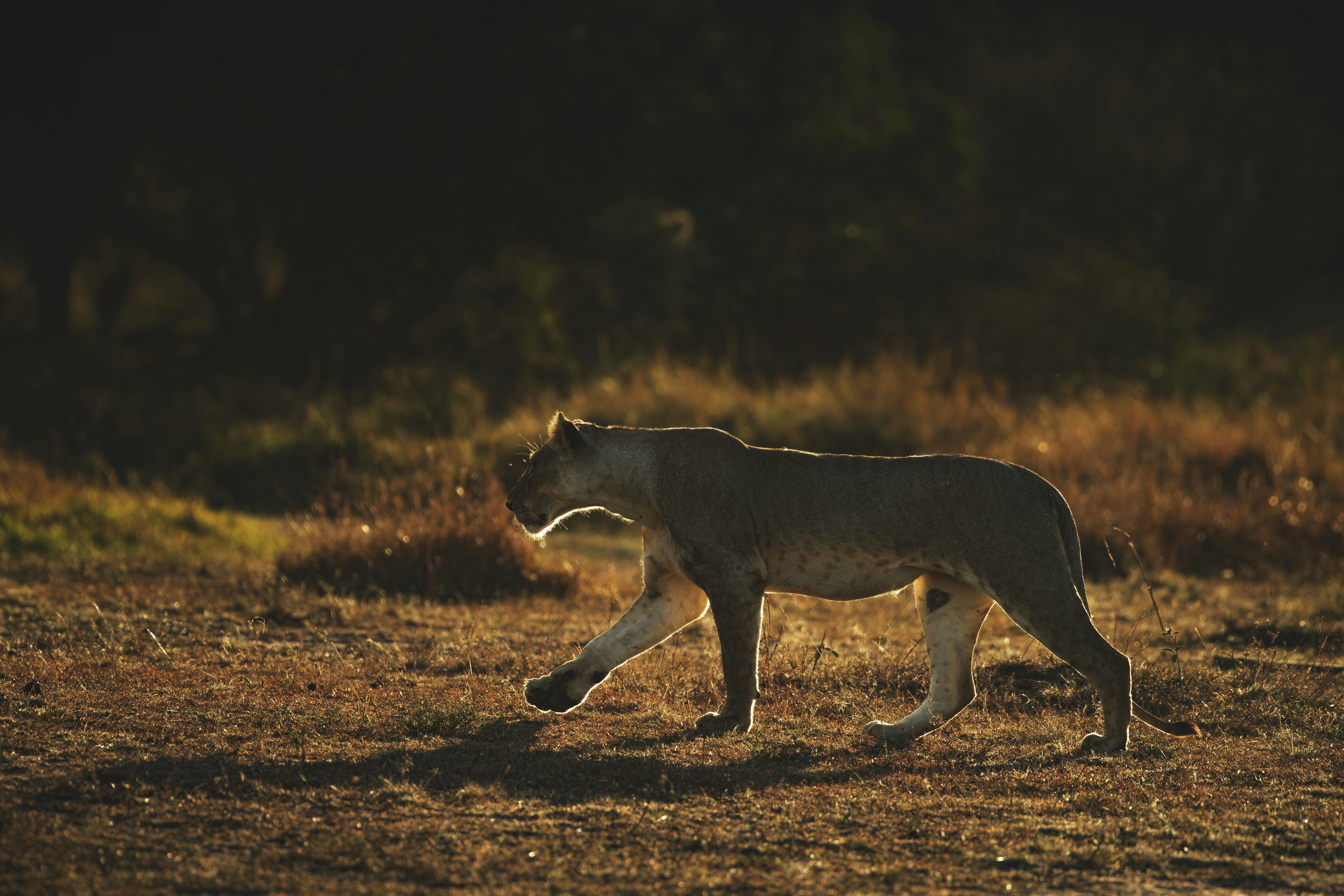 Photo by keyursphotography