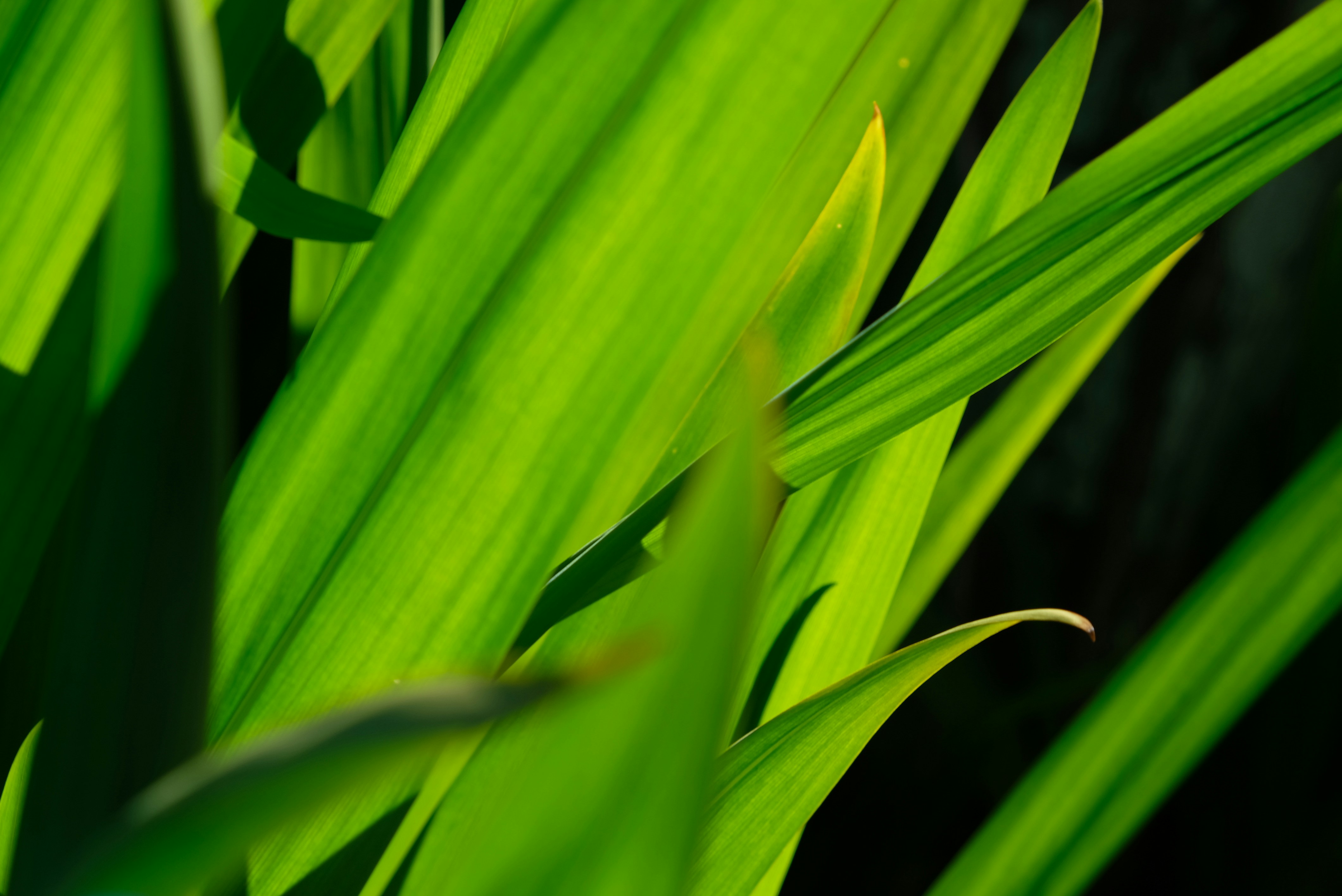 Photo by littlestevienicks