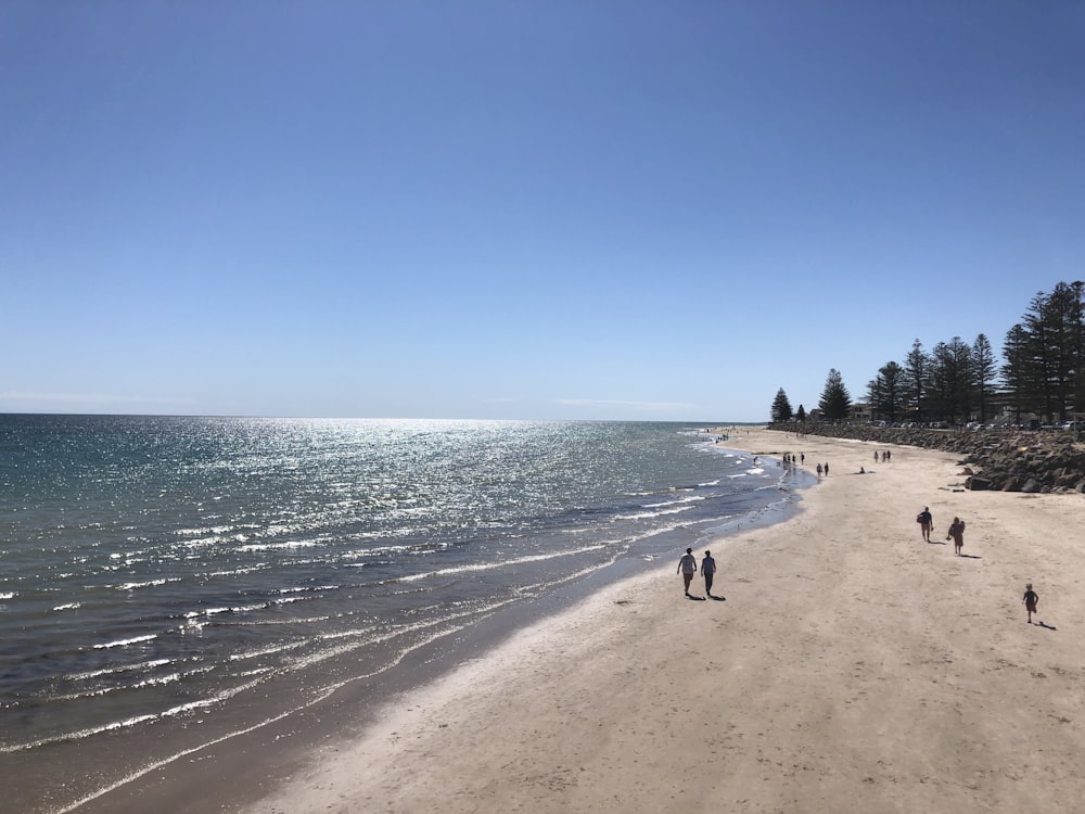 people on beach during daytime