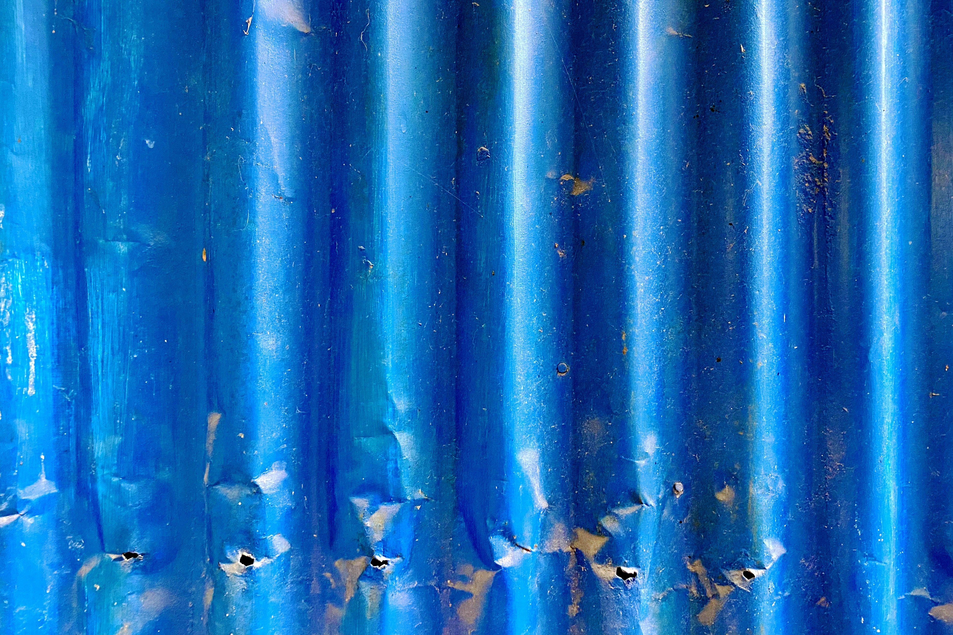 blue and white fish on water