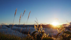 A serene sunrise over a quiet landscape symbolizing new beginnings and divine purpose.