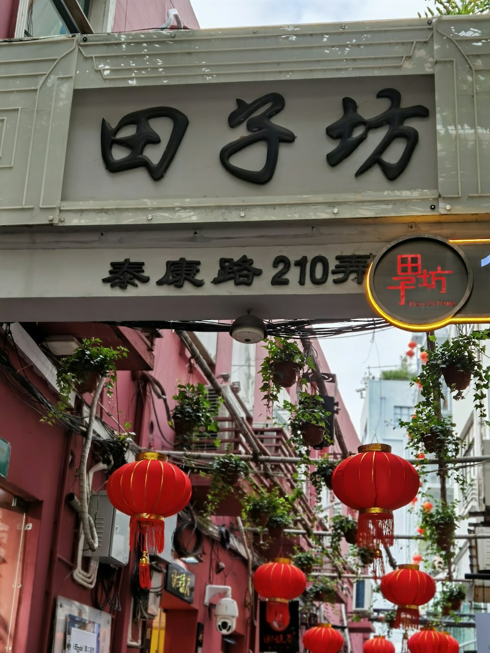 red chinese lanterns hanging on the street during daytime