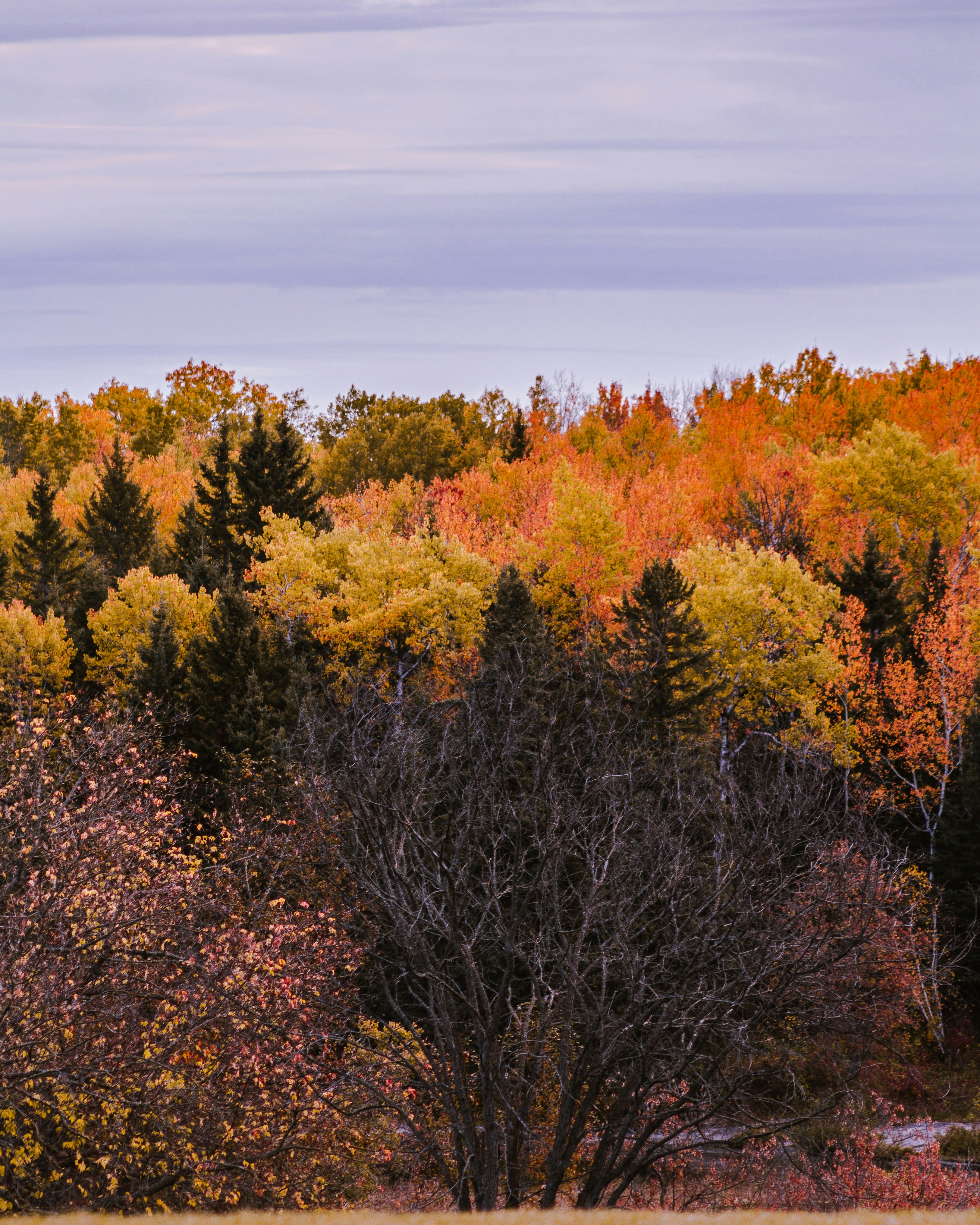 Photo by jobankhangura