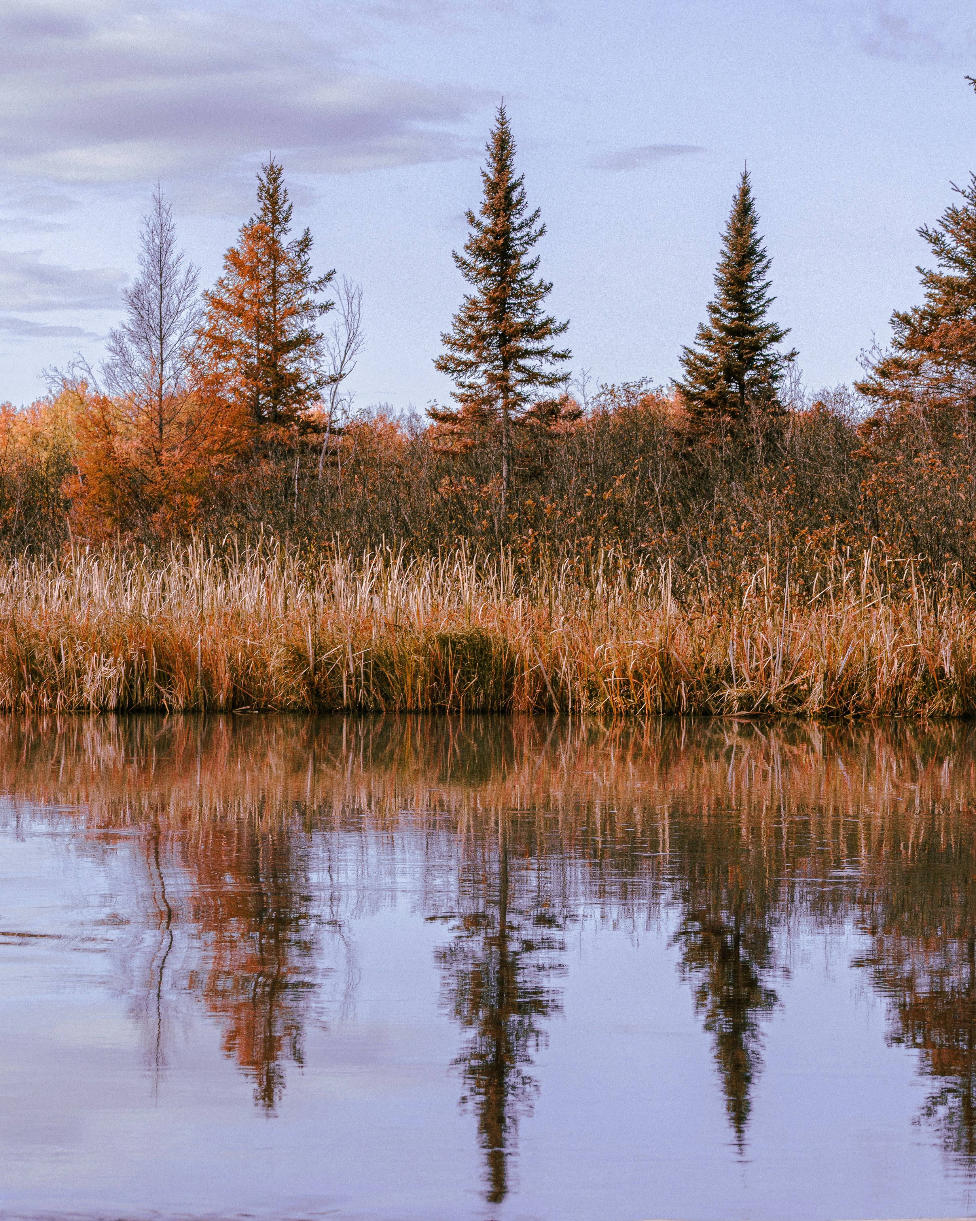 Photo by jobankhangura