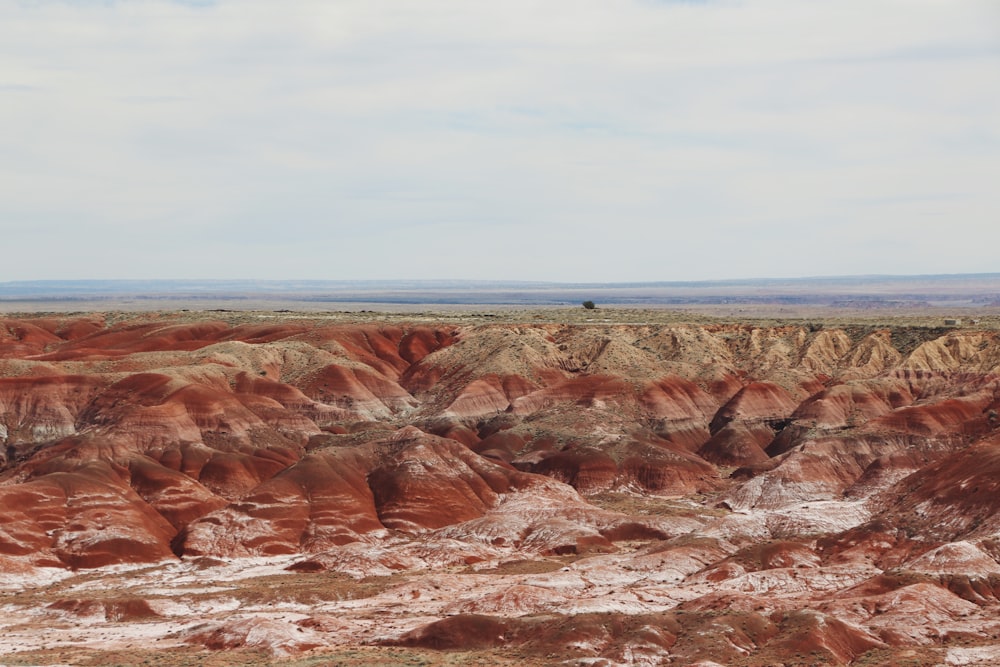 brown rocky mountain near sea during daytime