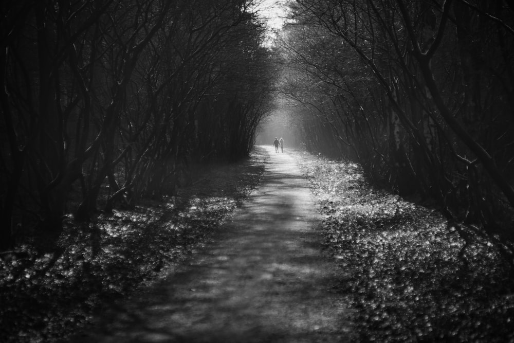 a black and white photo of a person walking down a path