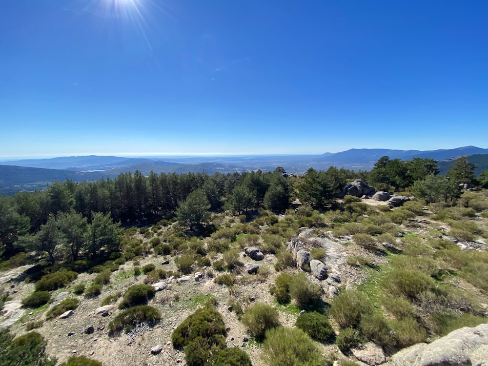 árvores verdes na colina sob o céu azul durante o dia