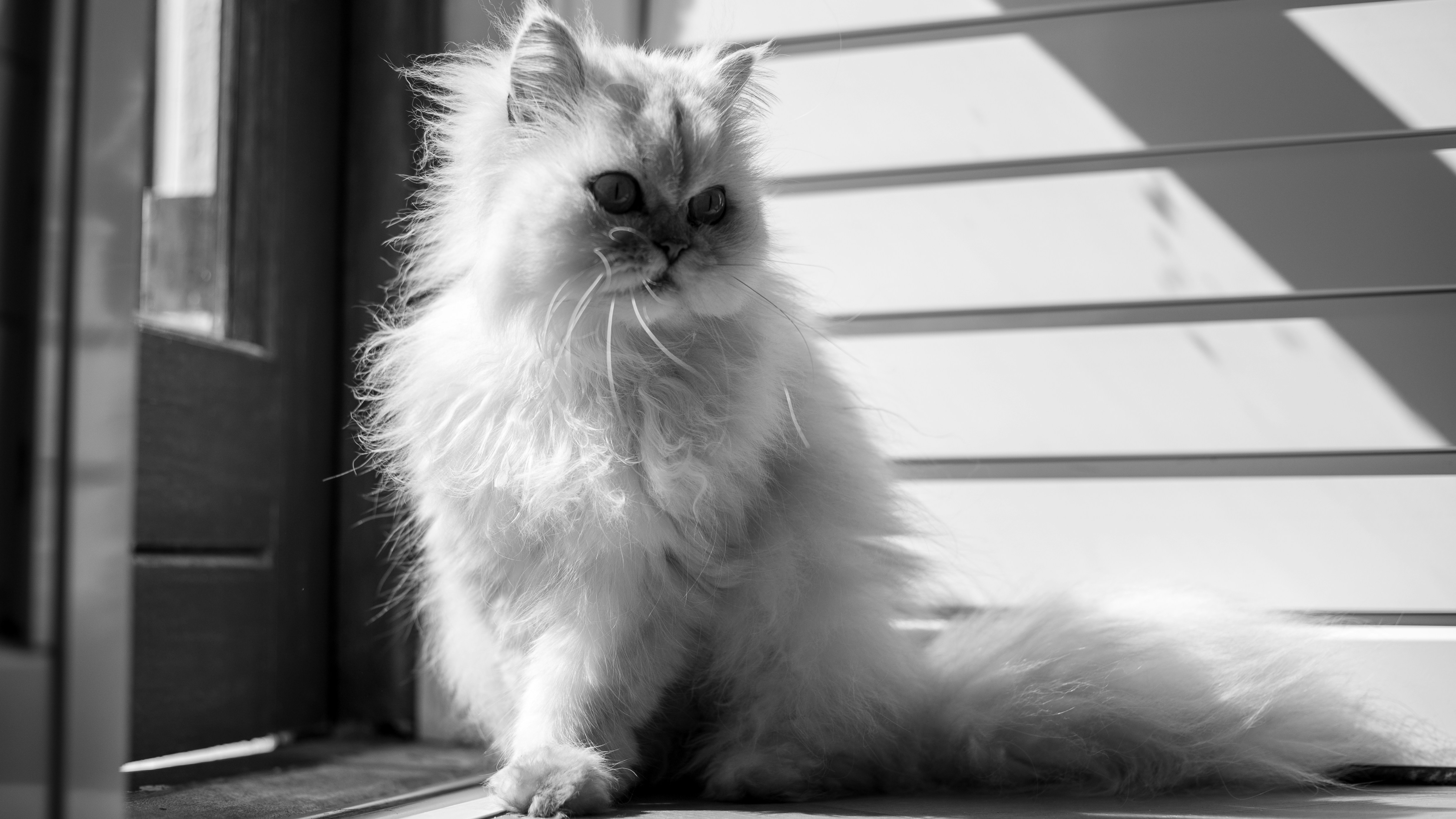 Photo by francoislouw