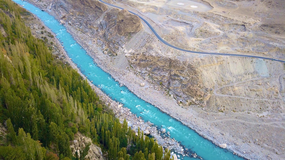 aerial view of green trees and blue body of water during daytime