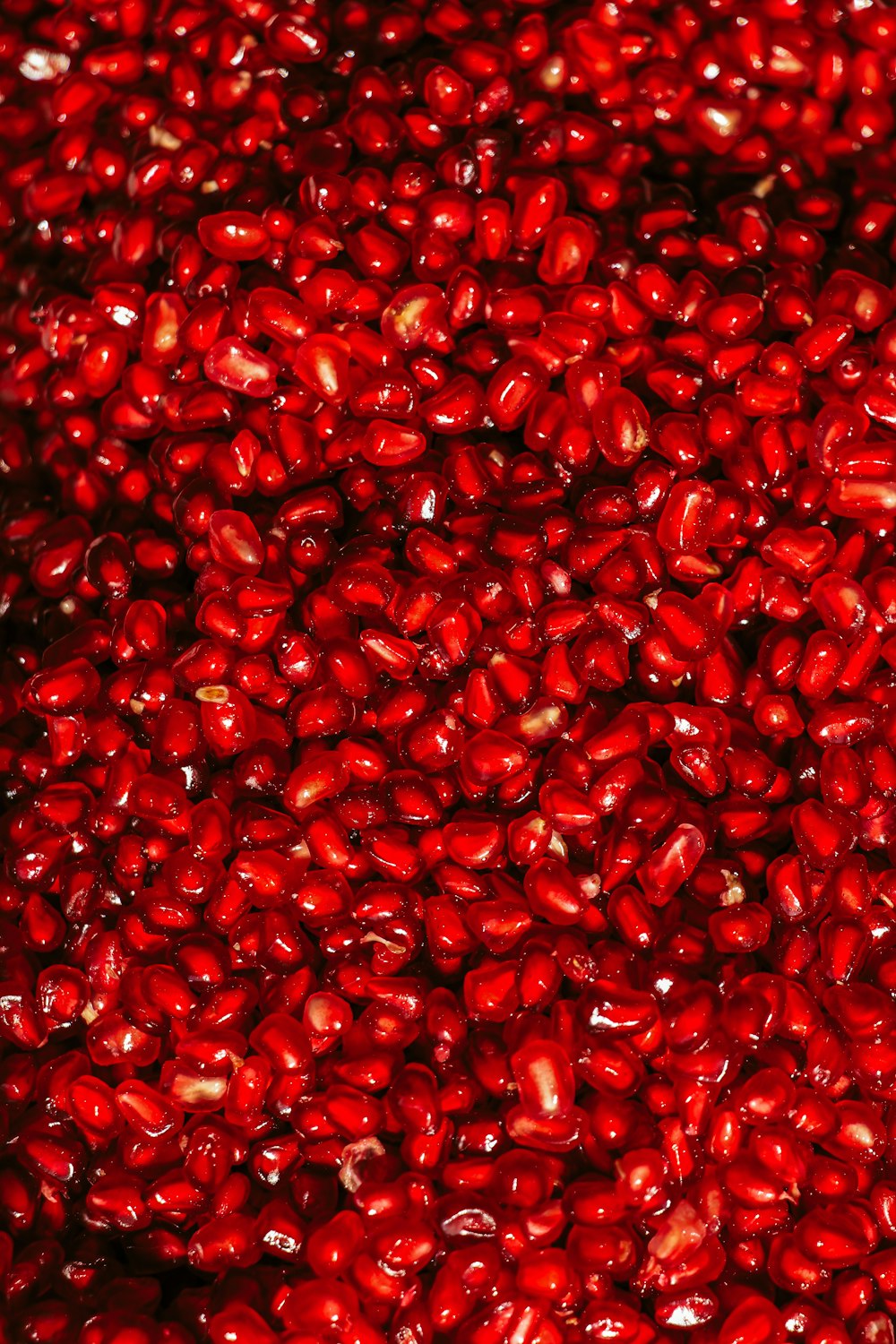 red round fruits on white background