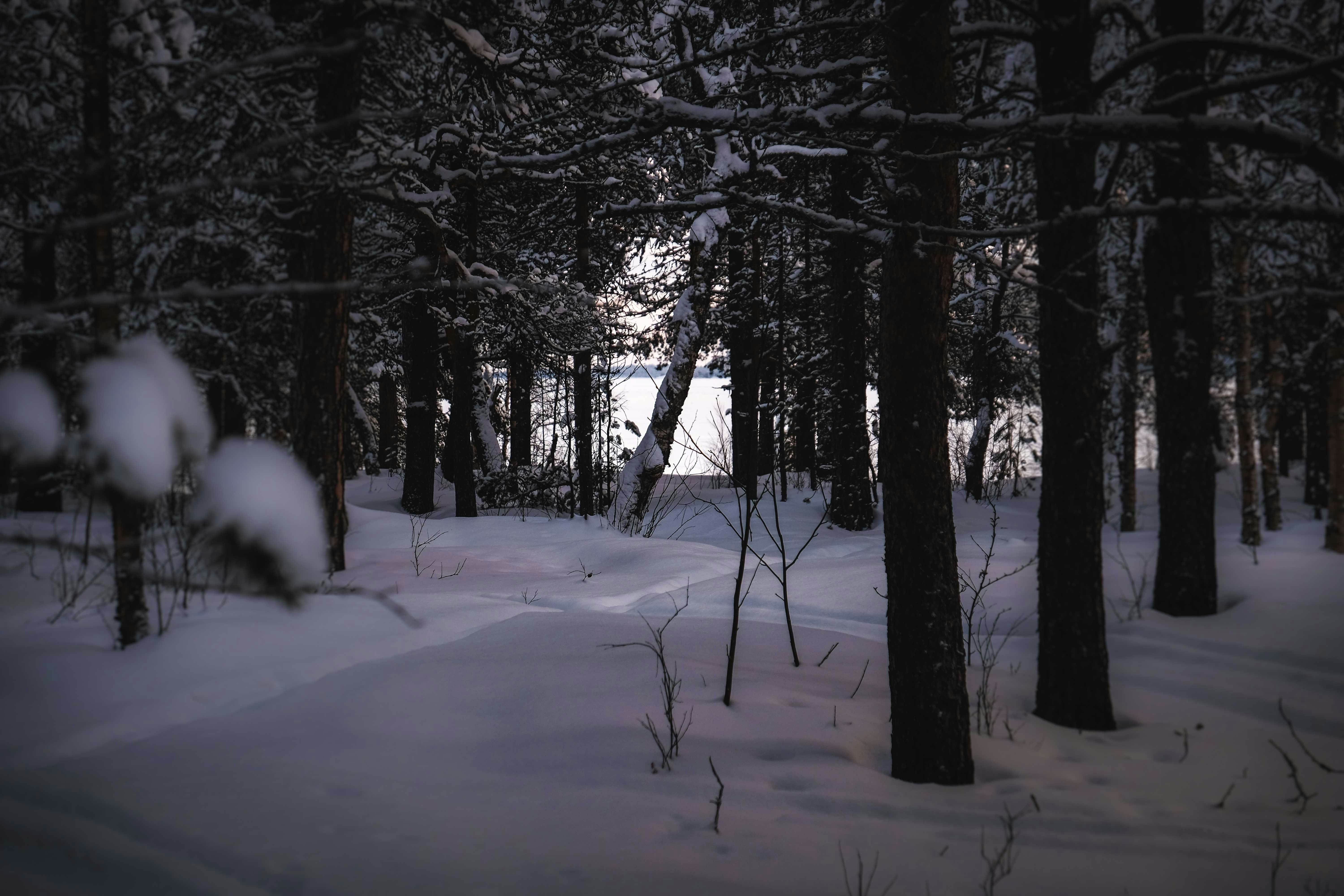 Photo by francesco_ungaro