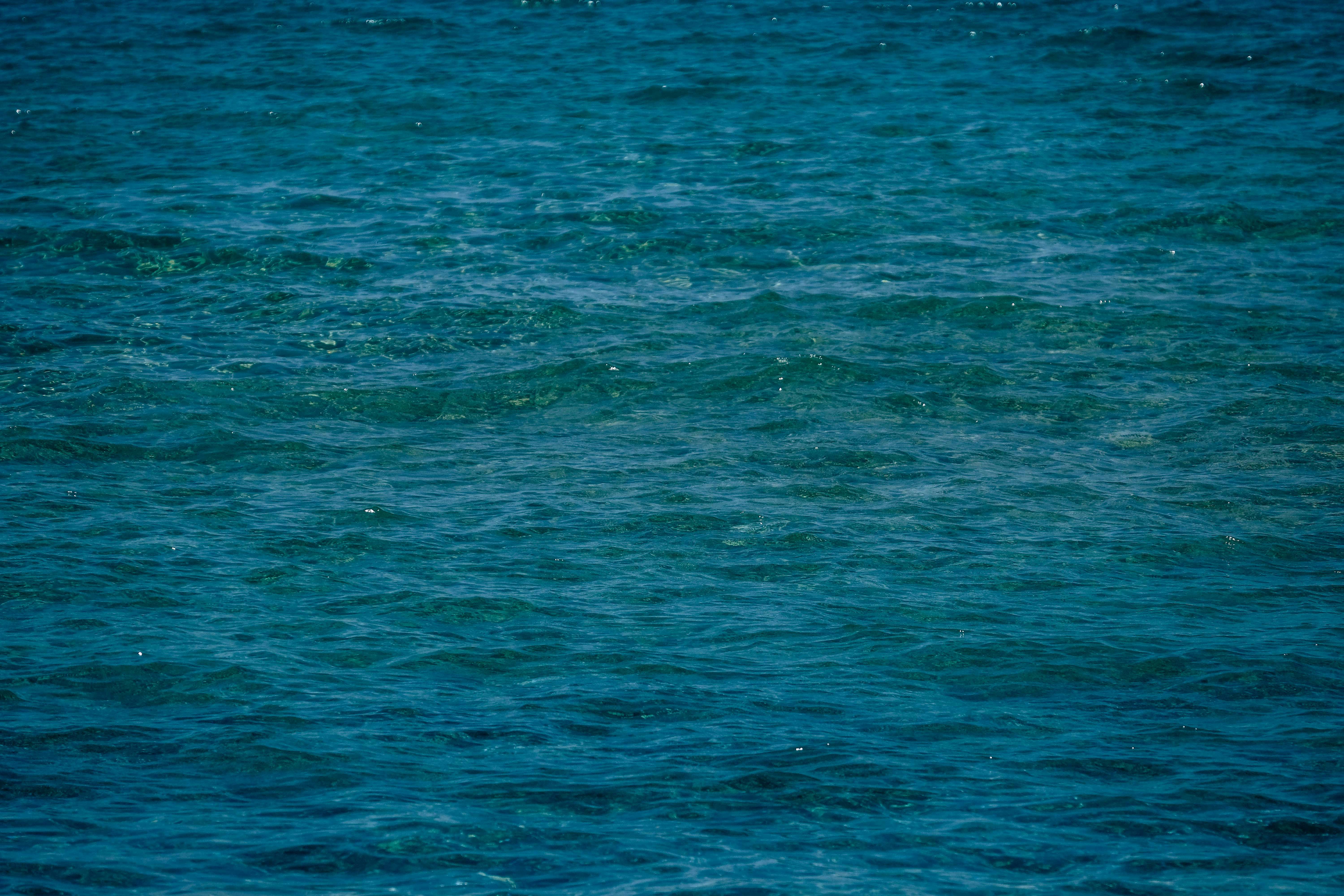 Photo by francesco_ungaro