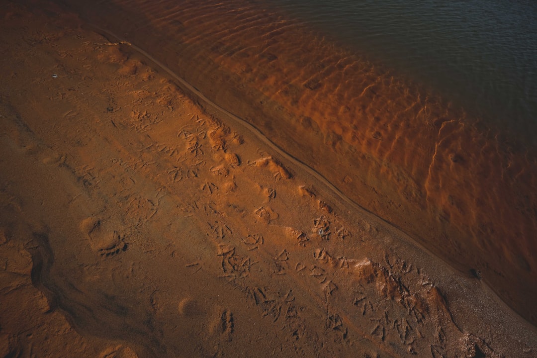 brown sand near body of water during daytime