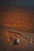 Afghan oil bottle placed on natural sand dunes with warm golden light