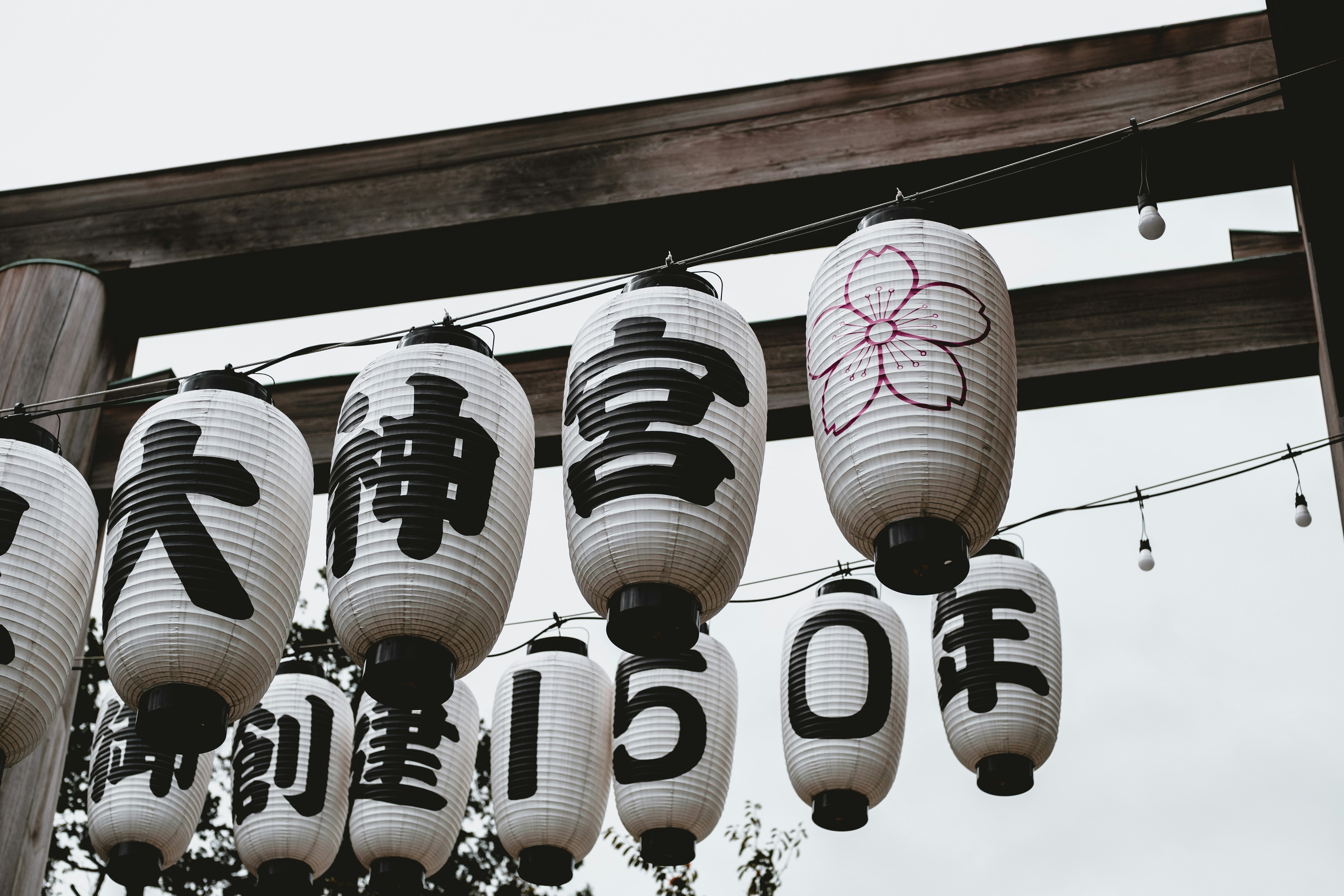 white and black paper lanterns