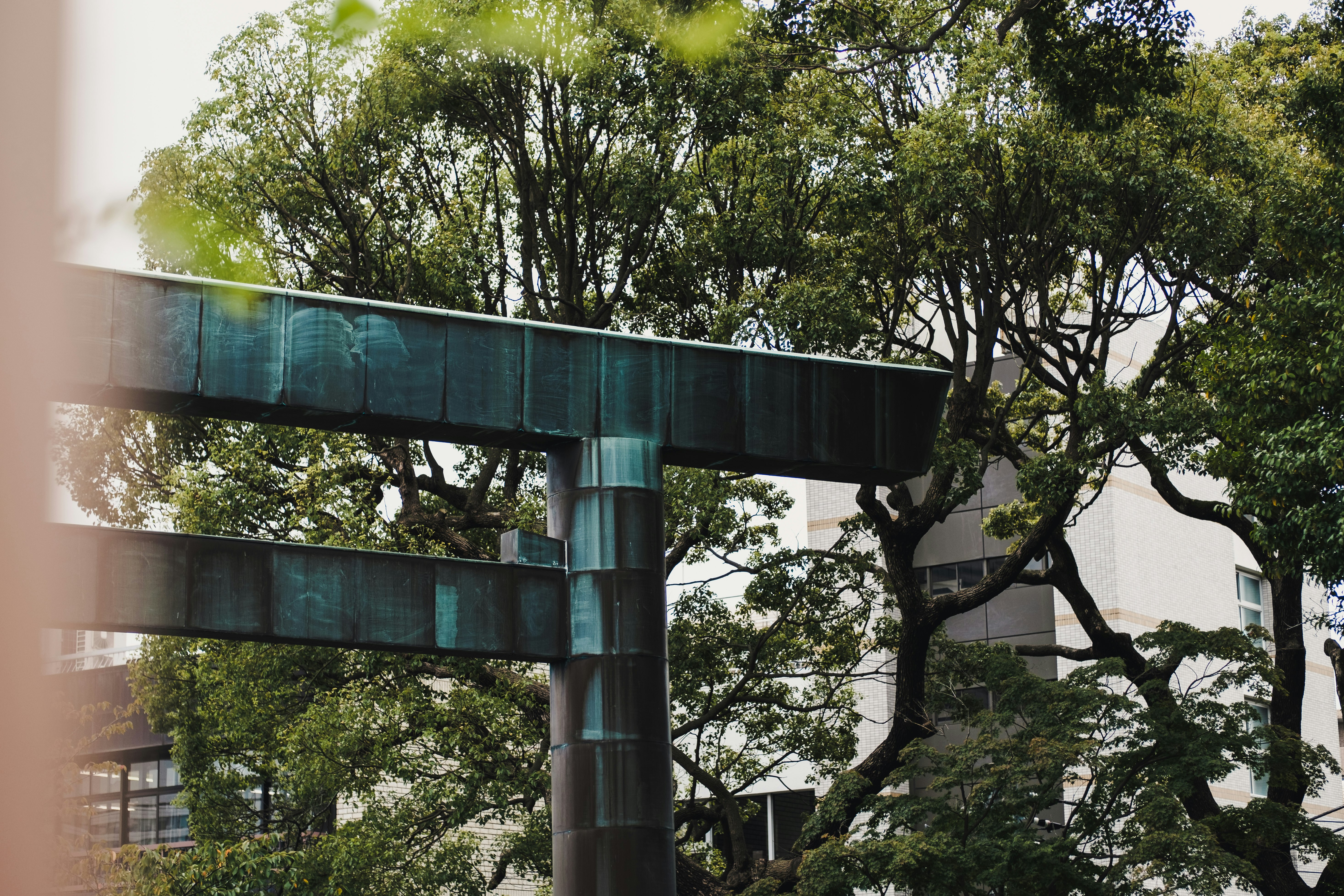 green metal post near green trees during daytime