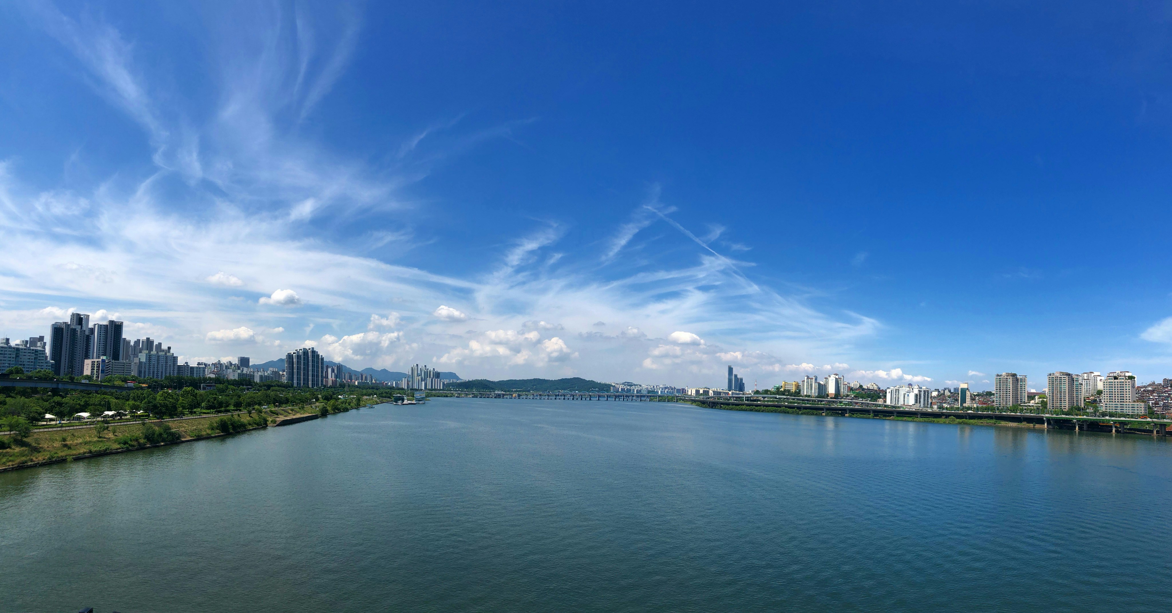 árboles verdes cerca del cuerpo de agua bajo el cielo azul durante el día