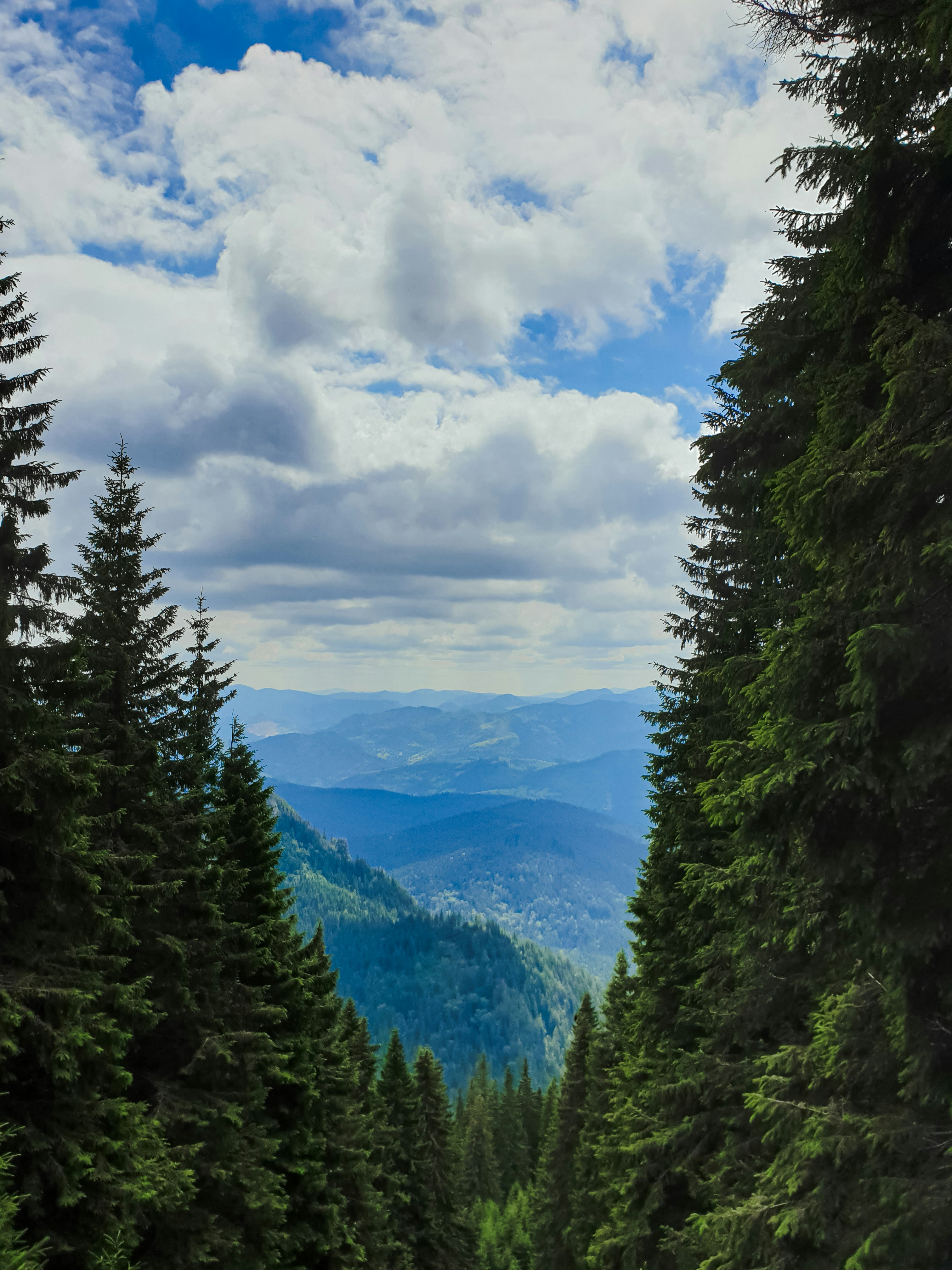 Photo by nasteagangal