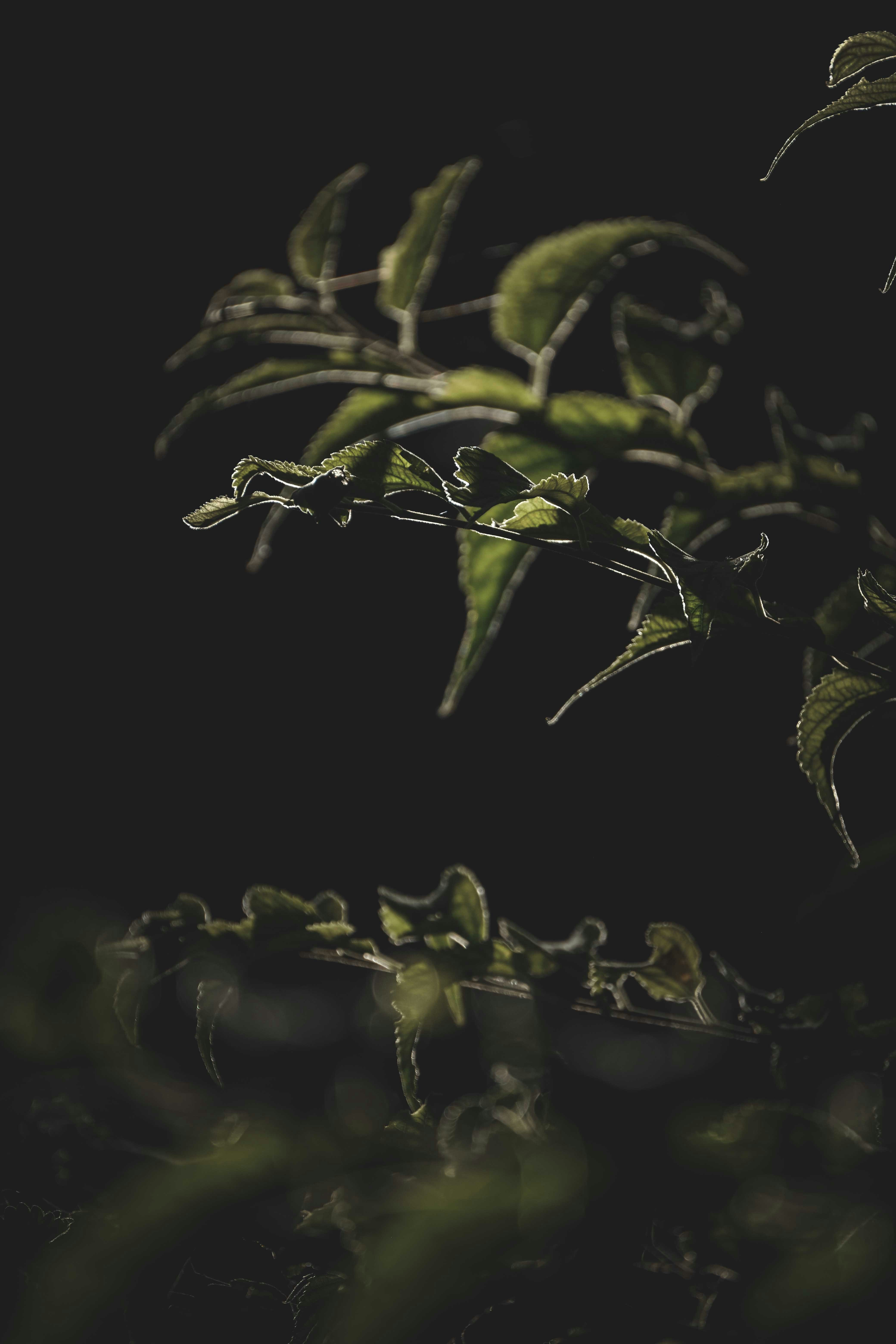 Photo by francesco_ungaro