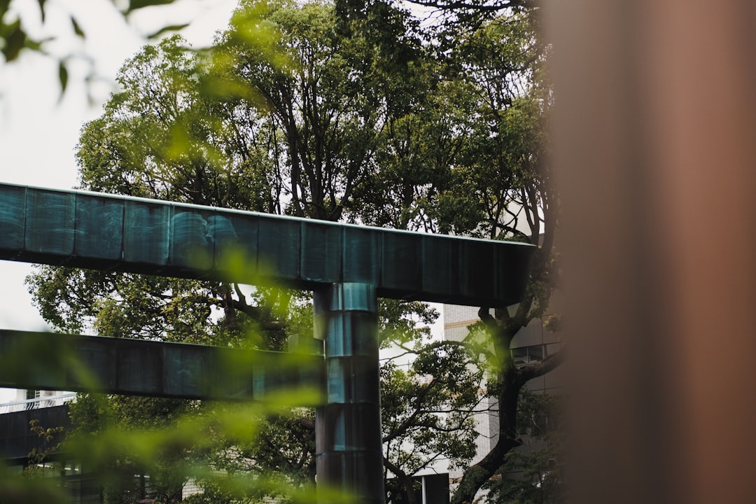 green trees beside brown concrete building