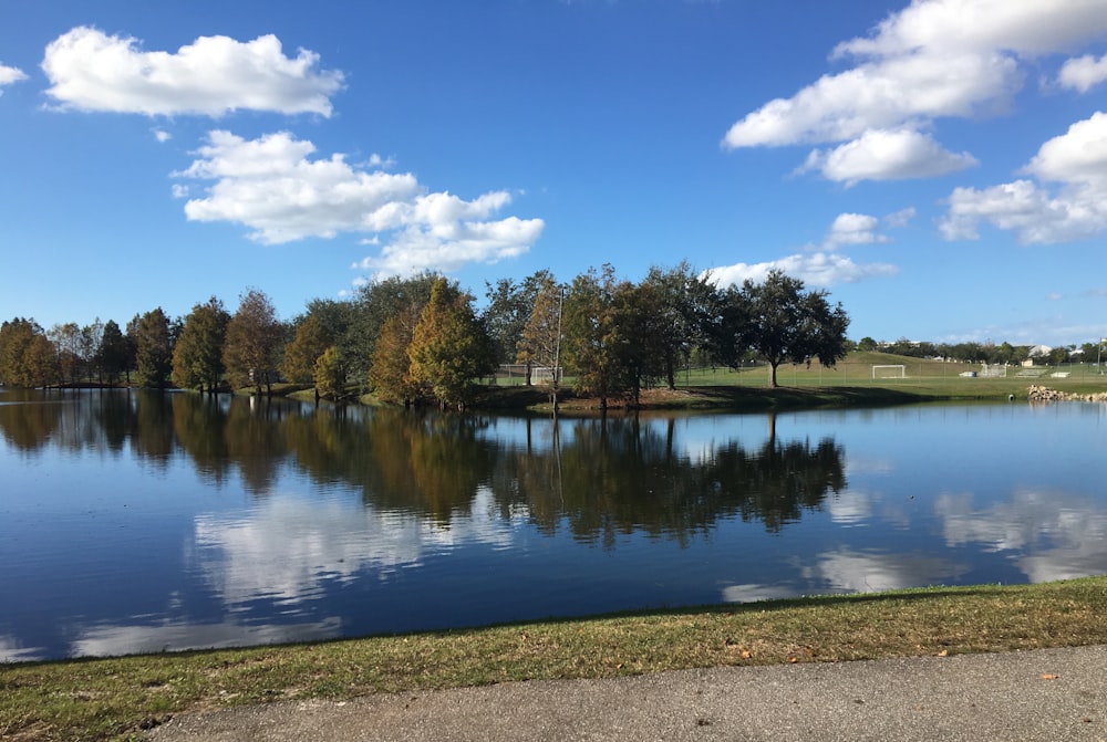 green trees beside lake under blue sky during daytime