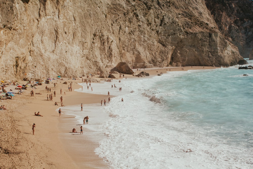 people on beach during daytime