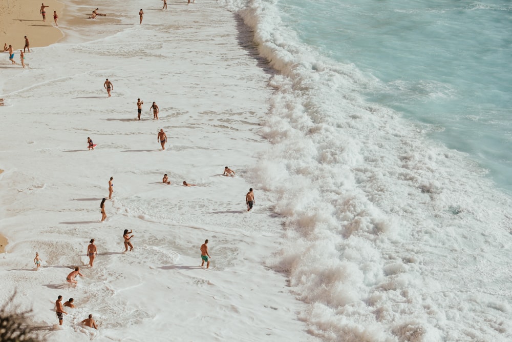 people on beach during daytime