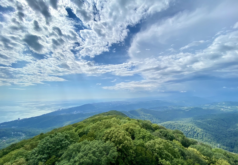 Grüne Bäume am Berg unter blauem Himmel tagsüber