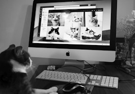A cat is sitting in front of an Apple computer, looking at a screen displaying multiple photos of cats. The scene is in a monochrome setting, with a vase of flowers in the background and some computer peripherals on the desk.