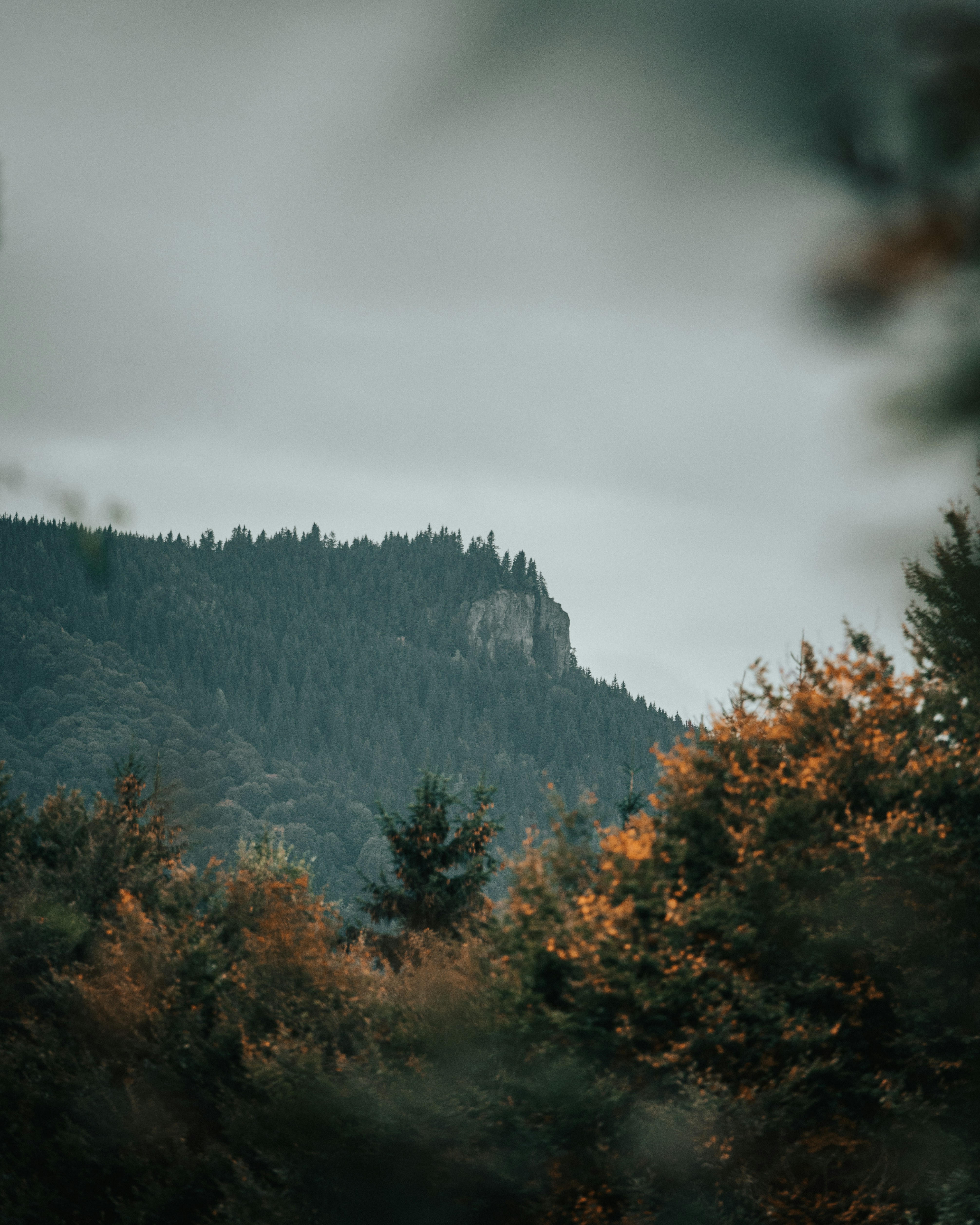 Photo by tamas_tuzeskatai