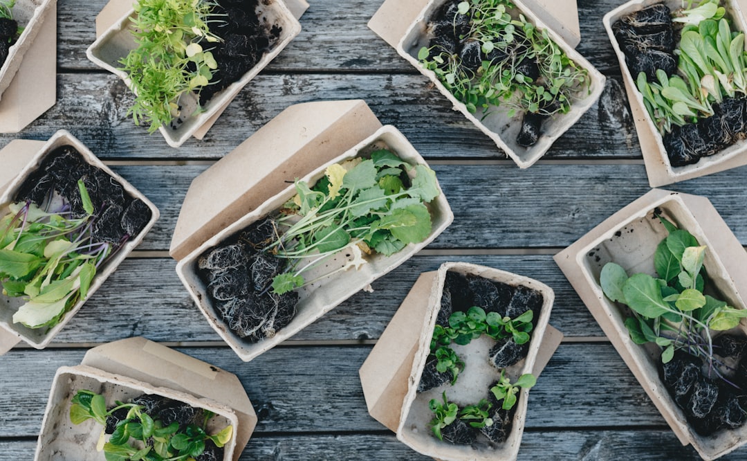 green leaves on white ceramic bowls