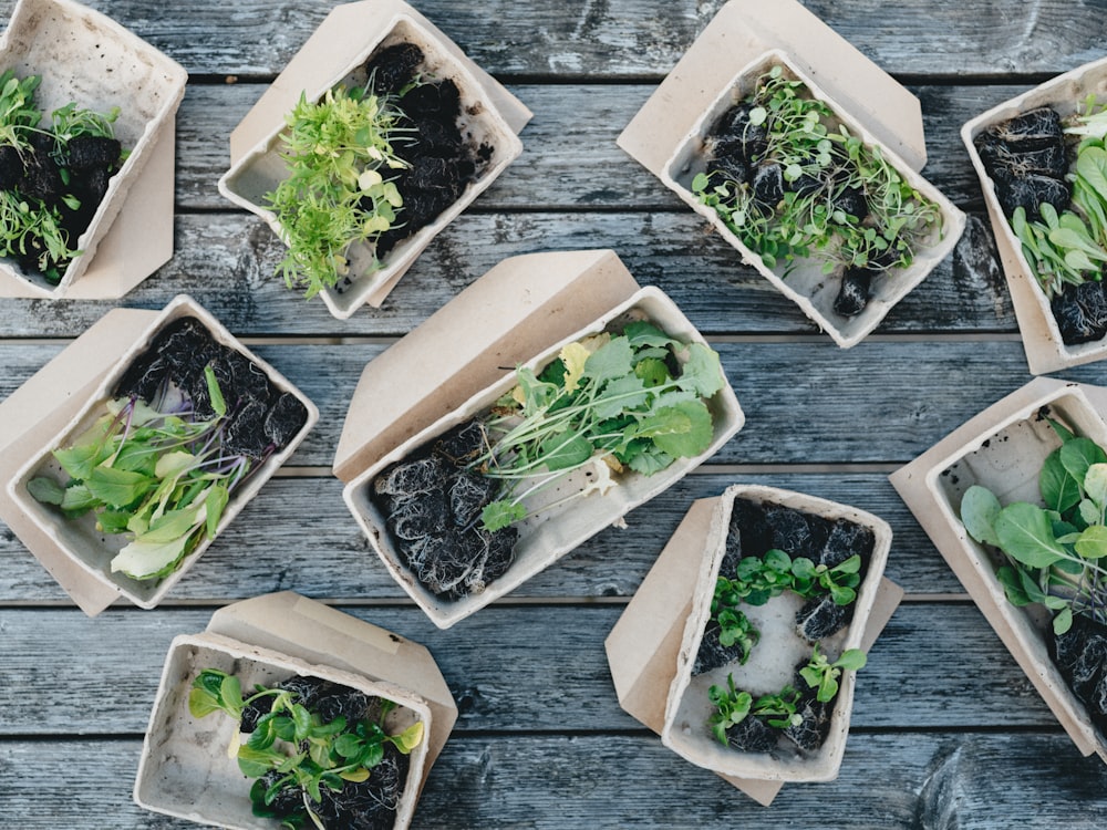 green leaves on white ceramic bowls