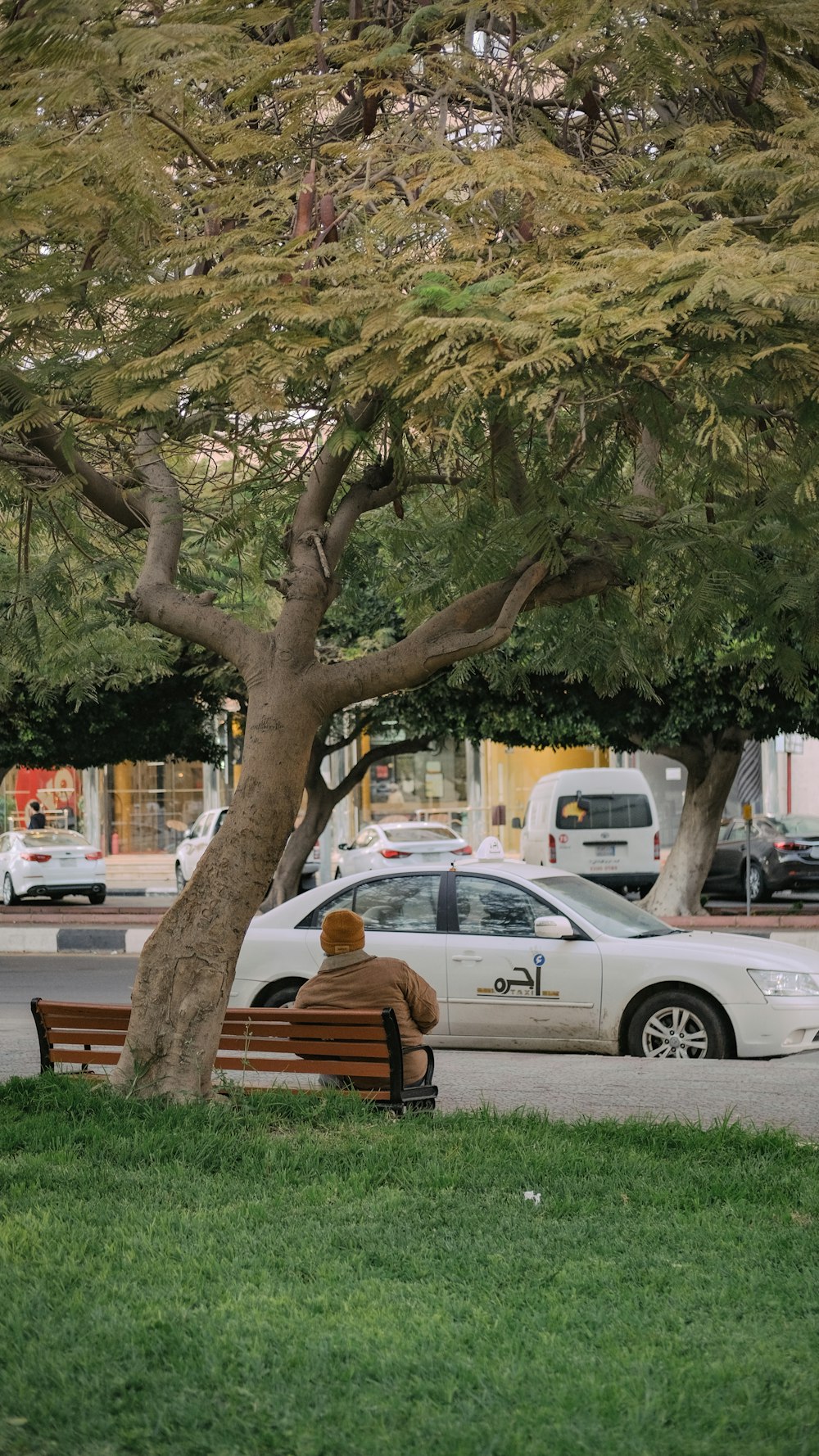 white sedan parked beside tree during daytime