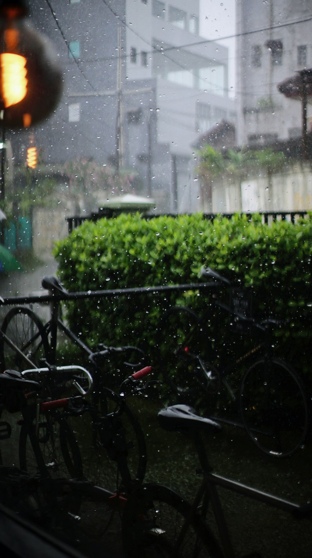 black bicycle parked beside green plants during daytime