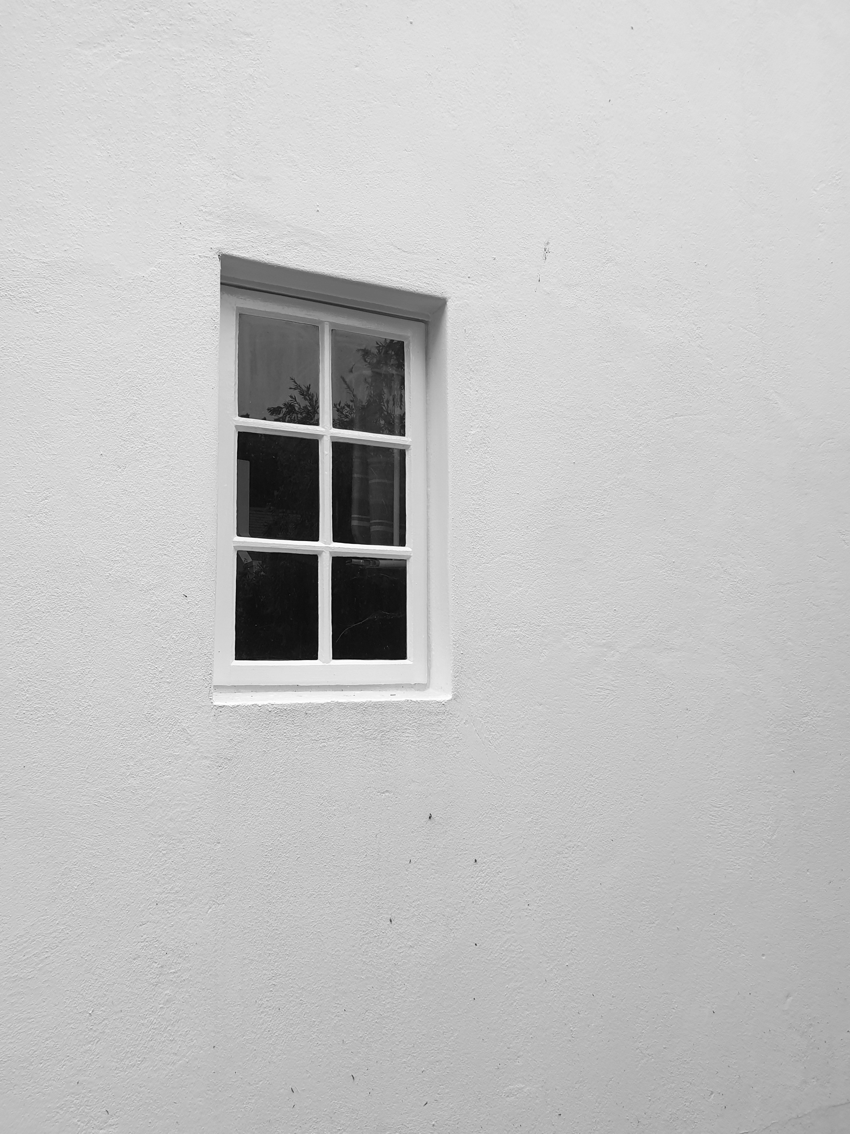 Photo by alphabetania