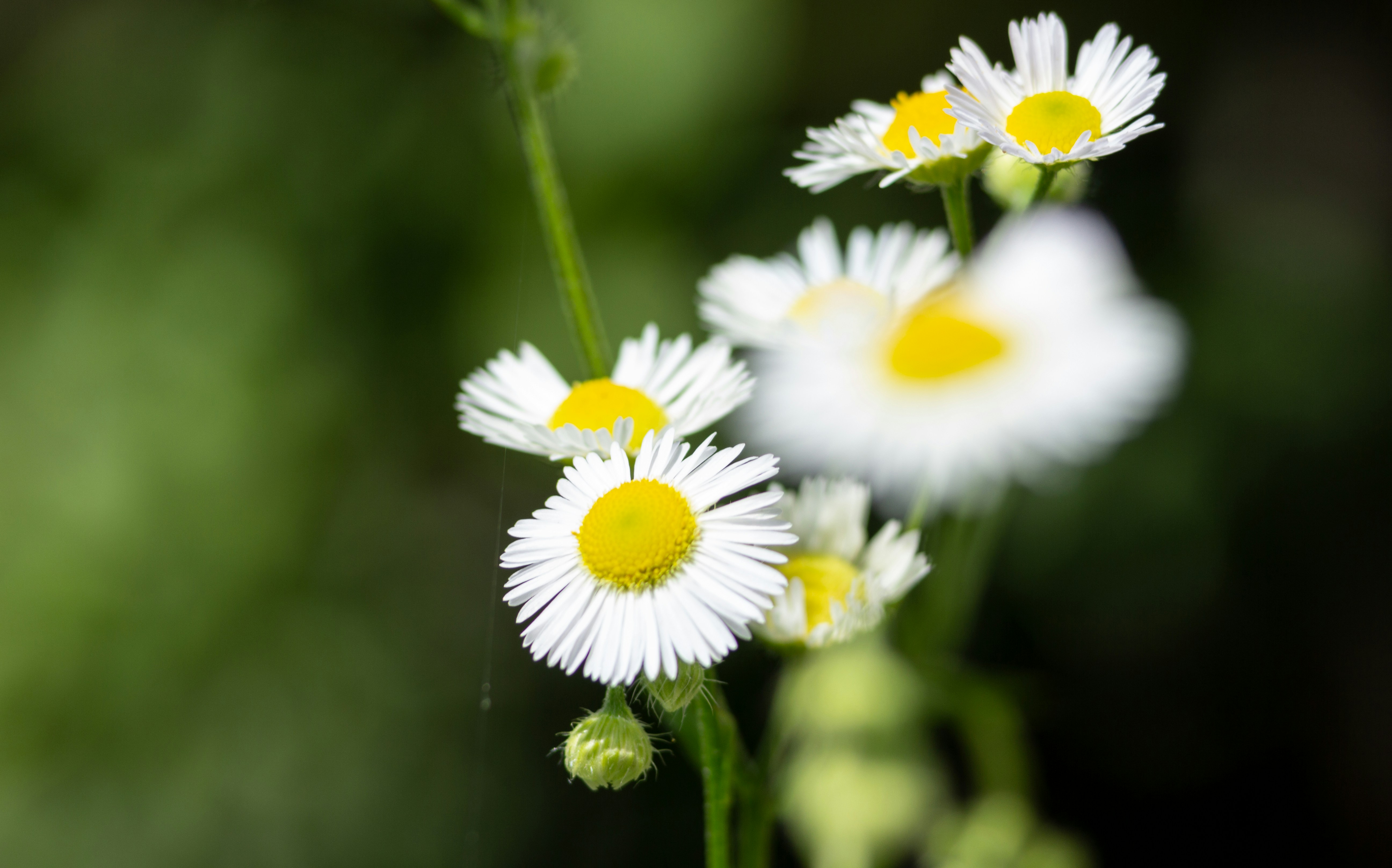 Photo by shutter_speed_