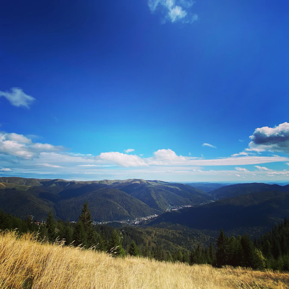 The image depicts a breathtaking view from a high vantage point, overlooking a valley nestled between two mountains. The valley is blanketed by lush green trees and grasses that stretch out into the distance, creating a sense of depth and scale. The sky above mirrors the earthy tones below with its blue hue, dotted here and there with fluffy white clouds.

In the foreground, a field of tall, dry grass sways gently in the breeze, adding texture to the scene. The mountains that flank the valley rise majestically on either side, their peaks touching the clear sky.