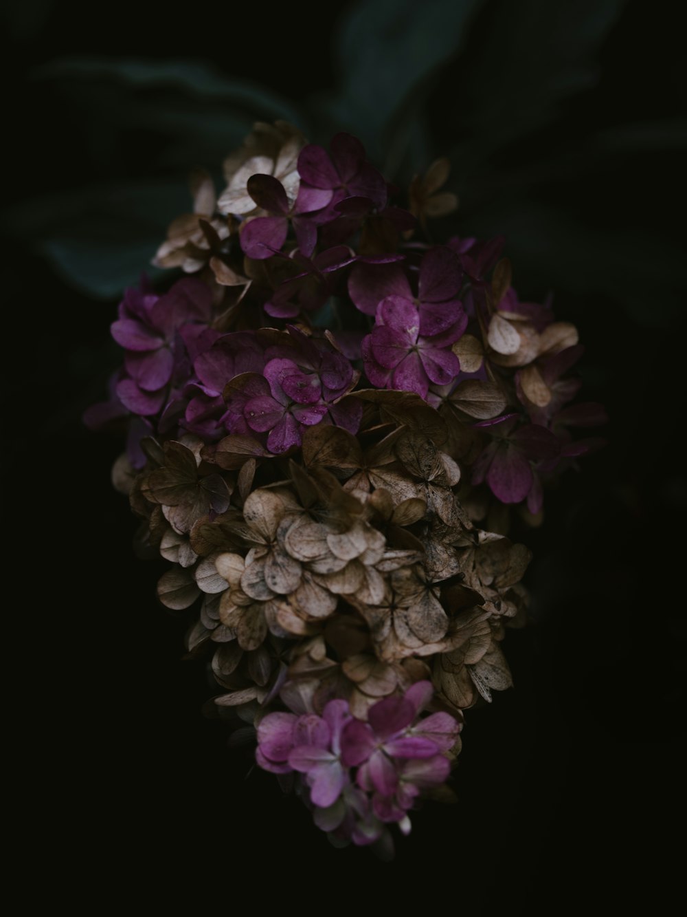 purple and white flower bouquet