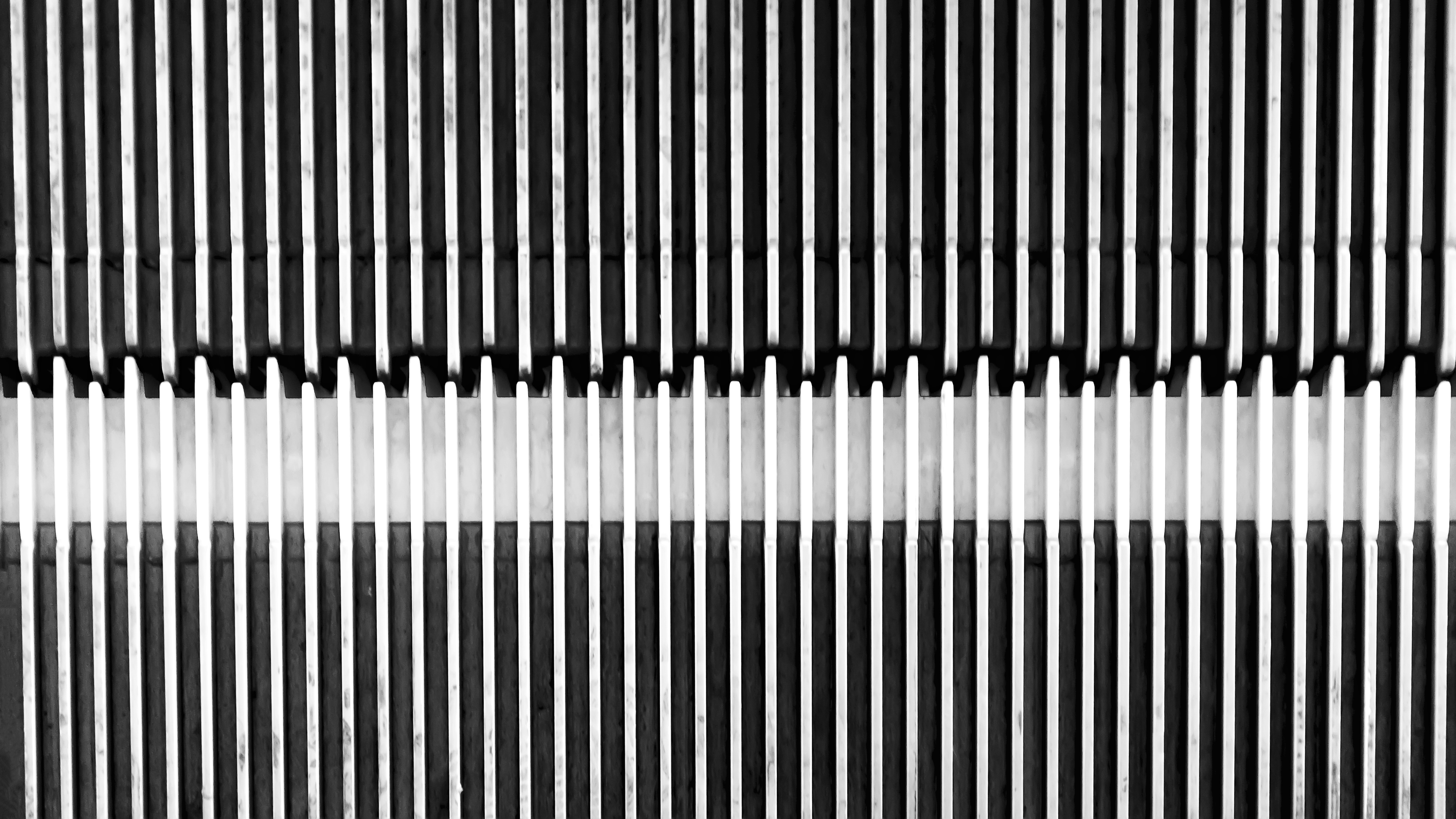 Photo by saeed_karimi