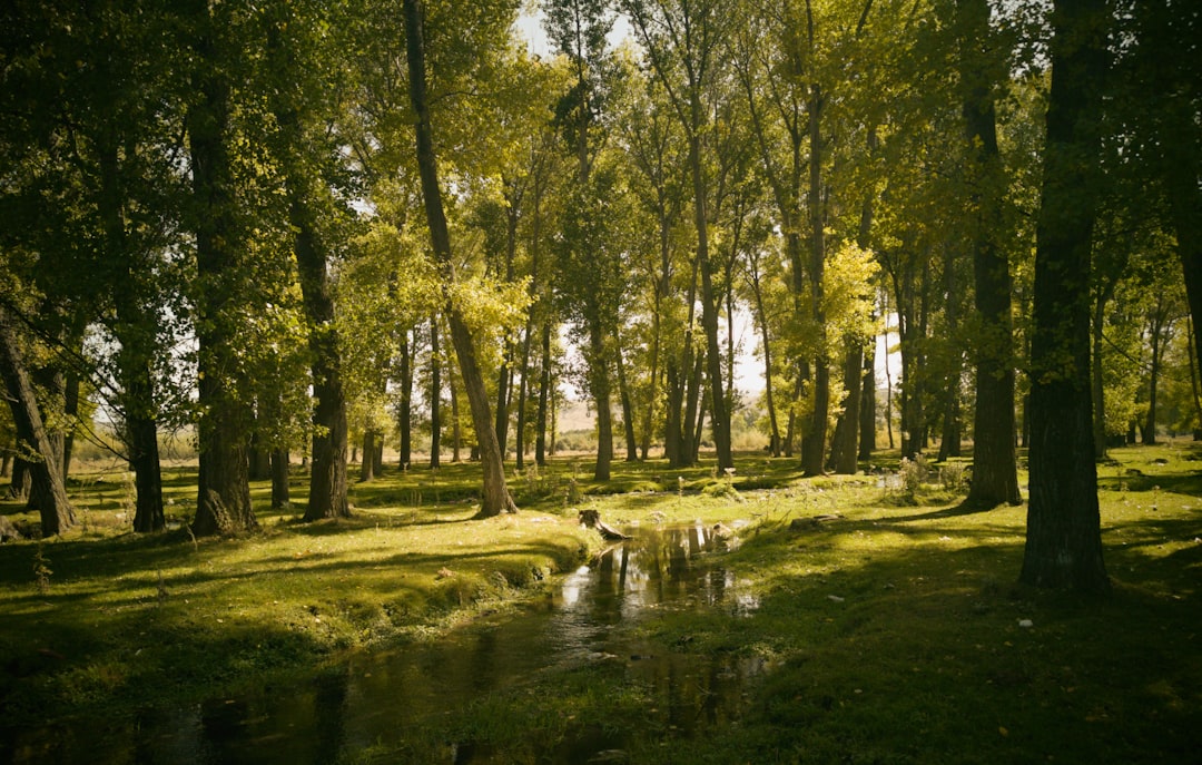 Ecoregion photo spot Vardenis Armenia