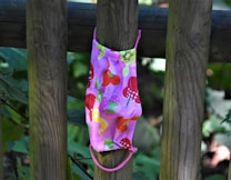 A colorful face mask with a pattern of various fruits hangs on a wooden fence. The mask is predominantly pink and features images of strawberries, kiwis, and other vibrant fruits. Surrounding the fence are green leafy plants, hinting at a natural environment.