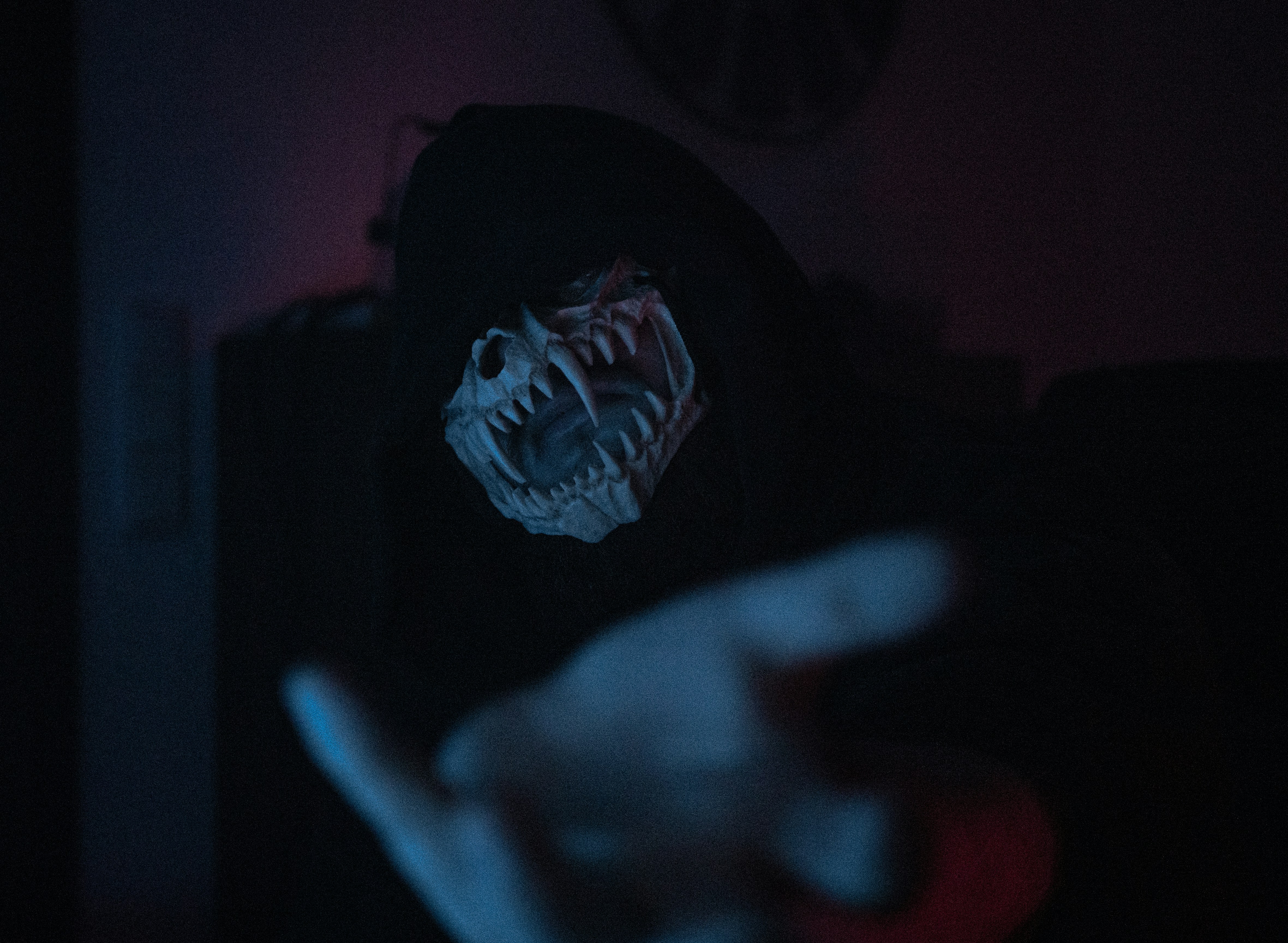 https://images.unsplash.com/photo-1602935534641-1b315f25f798?ixid=M3w2MjYzNjJ8MHwxfHNlYXJjaHw5fHxGcmVkZHklRTIlODAlOTlzfGVufDB8MHx8fDE3NTcwNjgzNTd8MA&ixlib=rb-4.1.0