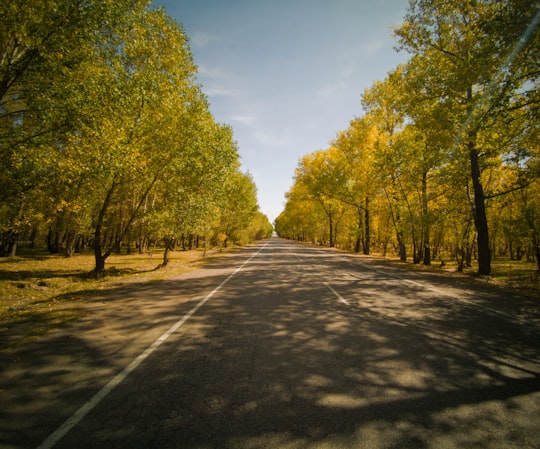 gray concrete road between green trees during daytime in Vardenis Armenia