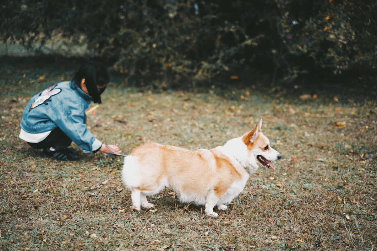 Persona abrazando a un perro adoptado, sonriendo feliz