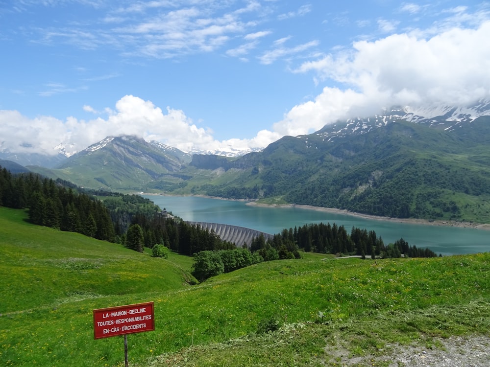 Grüne Bäume auf grünem Grasfeld in der Nähe des Sees unter blauem Himmel tagsüber