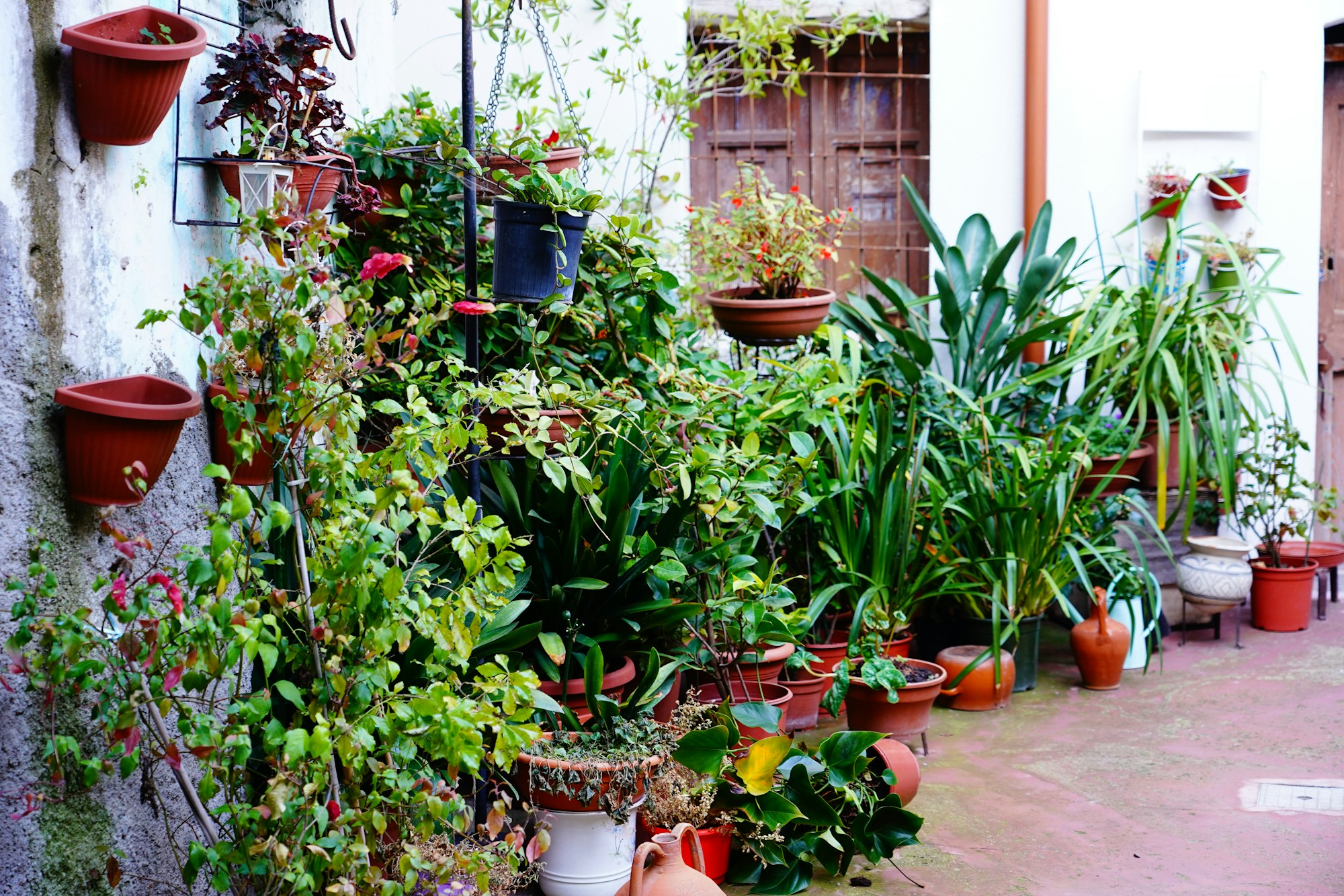 Exploring Nuoro's Authentic Cuisine: Local Dishes, Restaurants, and Recipes